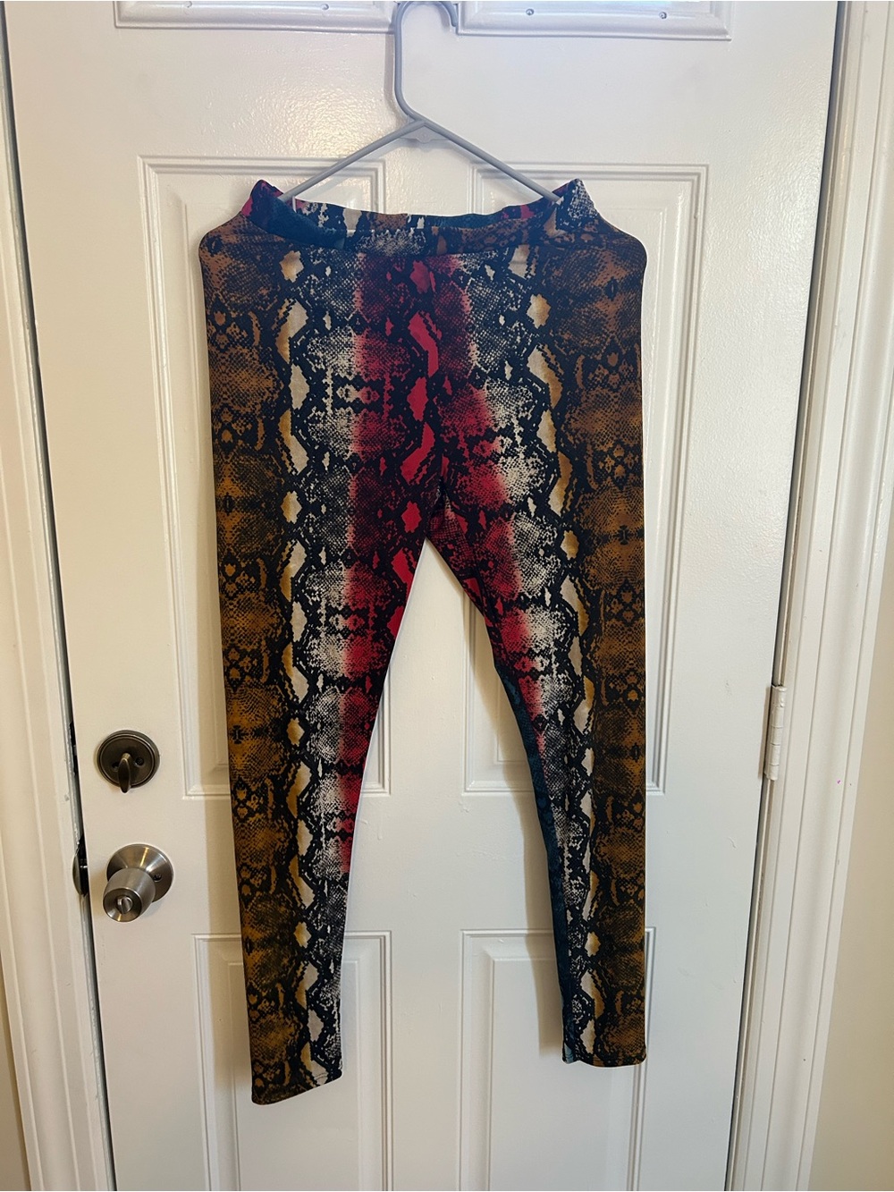 Fashion Nova Snake Print Leggings in Red, Brown, Black